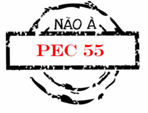 pec-55-300x277-png